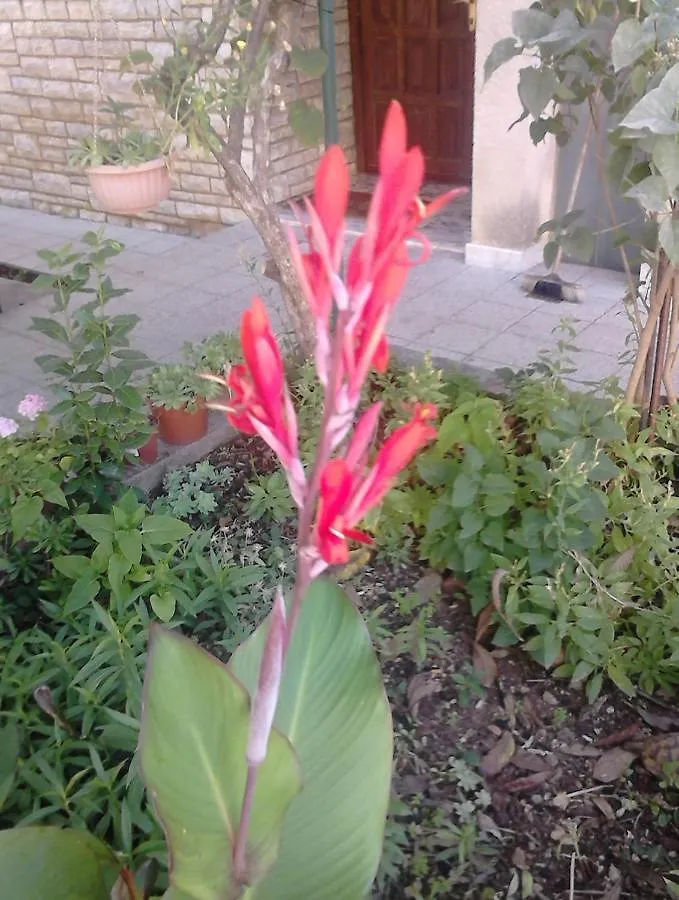 Apartment Zadar - Diklo 13327B 0*,  Croatia
