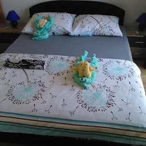 Apartman Dana